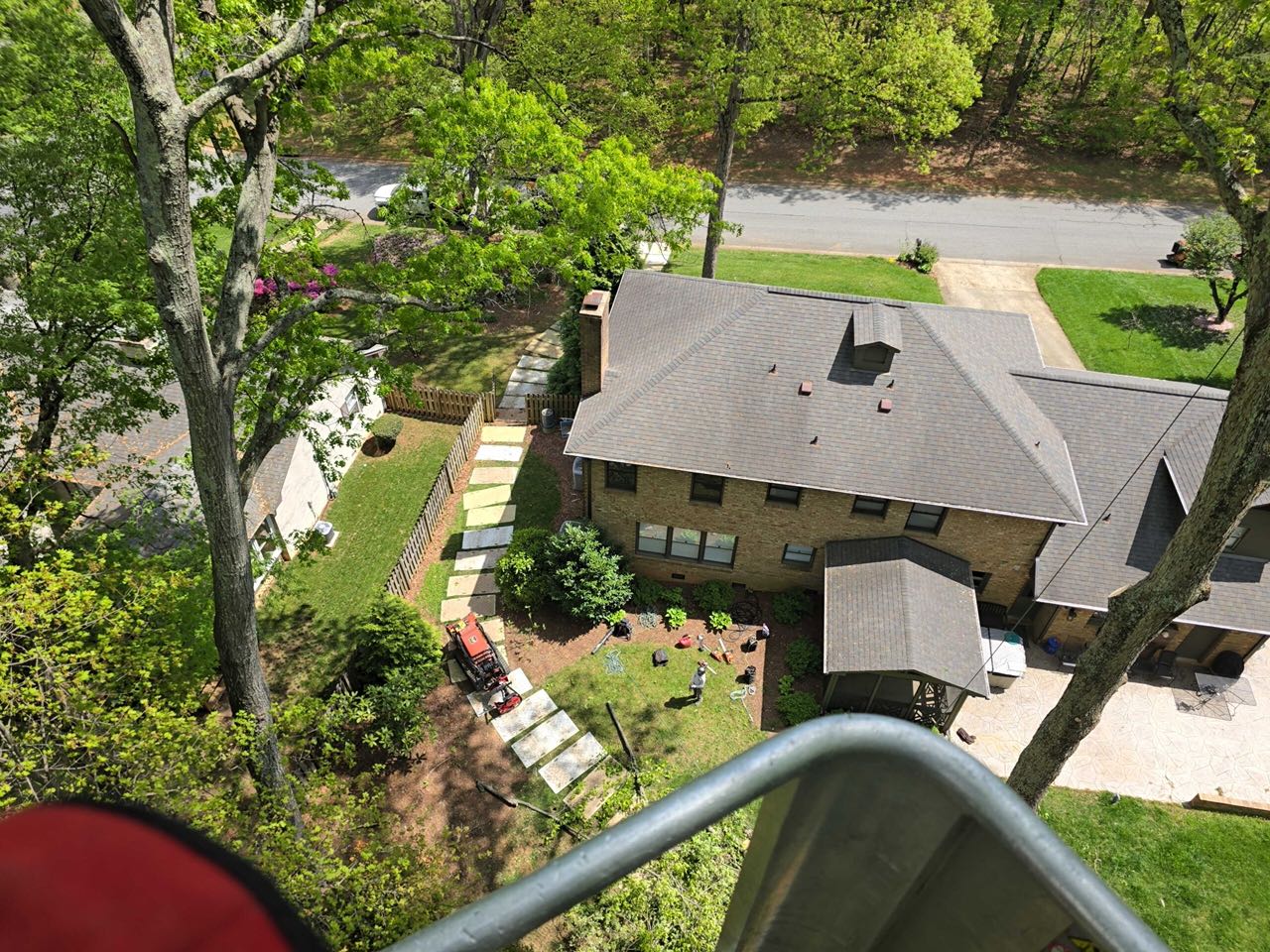 Tree Inspection — Aerial Canopy & Roofline Check